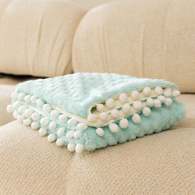 2-in-1 Winter Pet Blanket