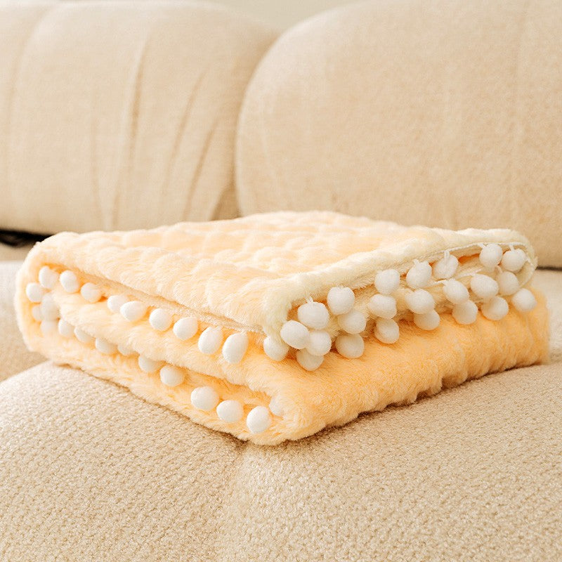 2-in-1 Winter Pet Blanket