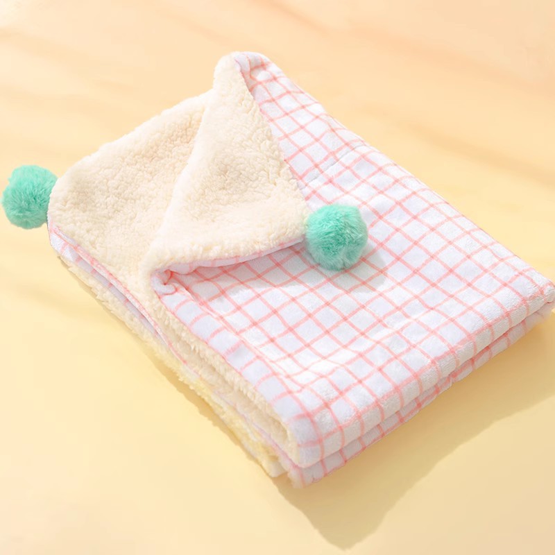 2-in-1 Winter Pet Blanket