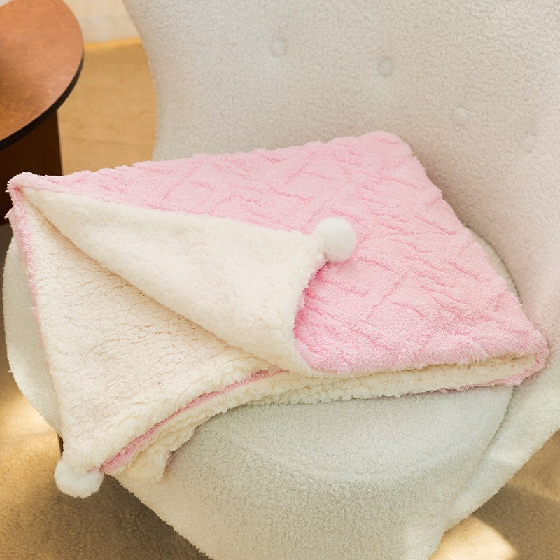 2-in-1 Winter Pet Blanket