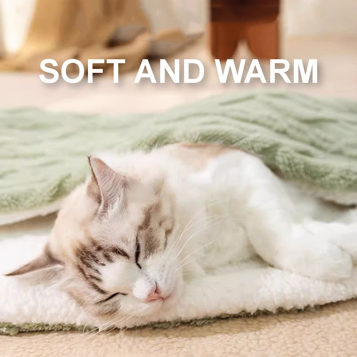 2-in-1 Winter Pet Blanket