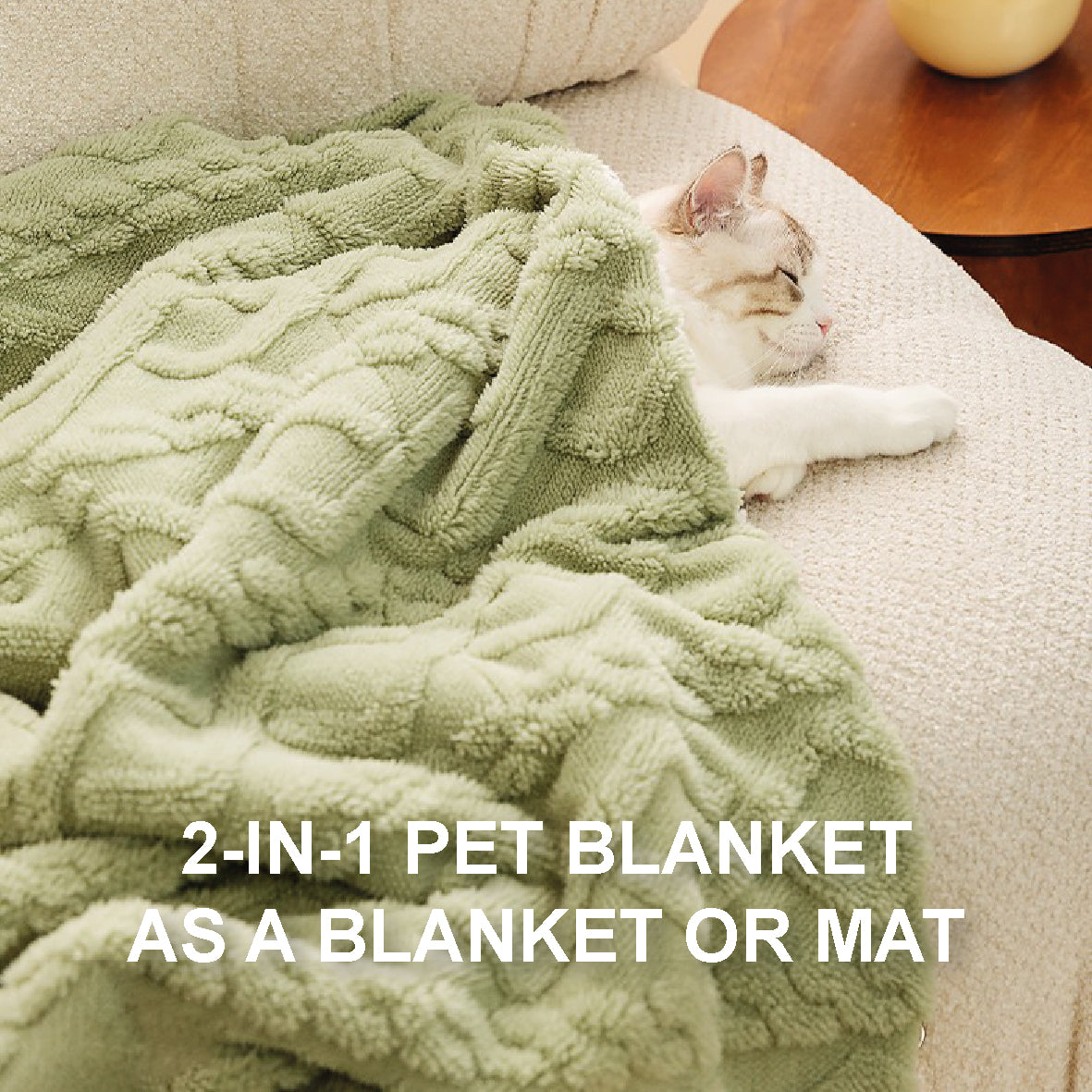 2-in-1 Winter Pet Blanket